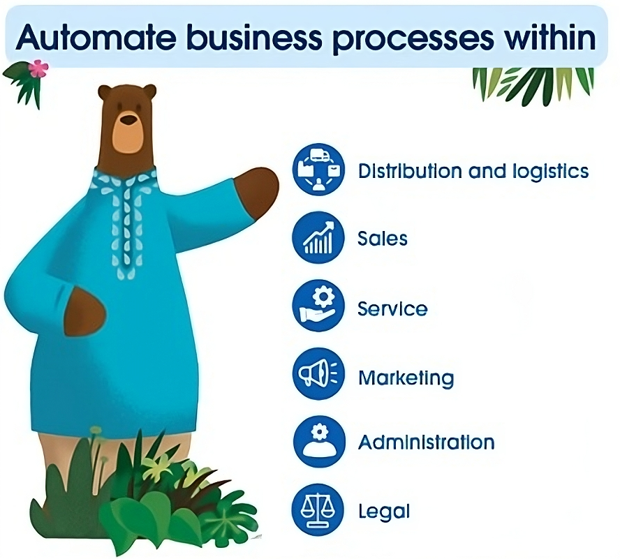 Business Process Automation with Salesforce