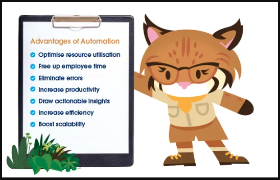 Salesforce Automation Advantages